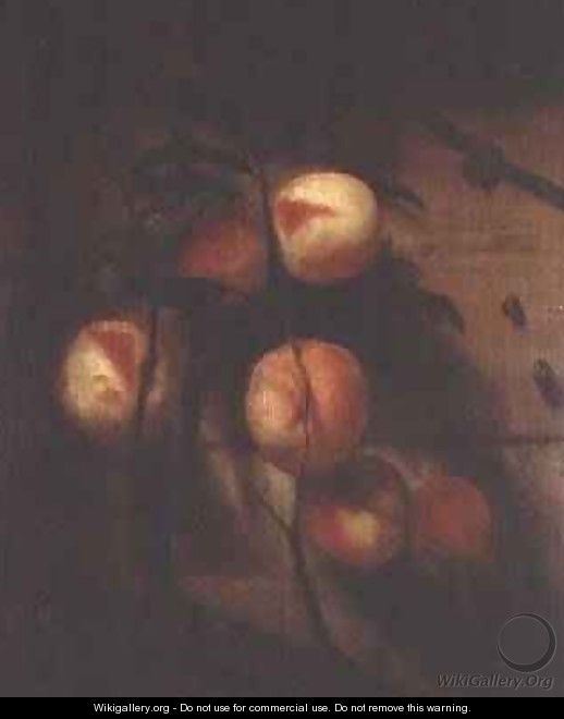 Bough of peaches against a wall with snails - Nicolaes Maes