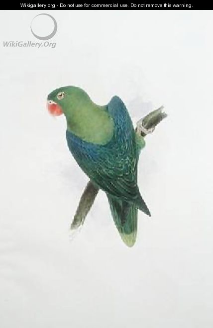 Green Parrot - Edward Lear