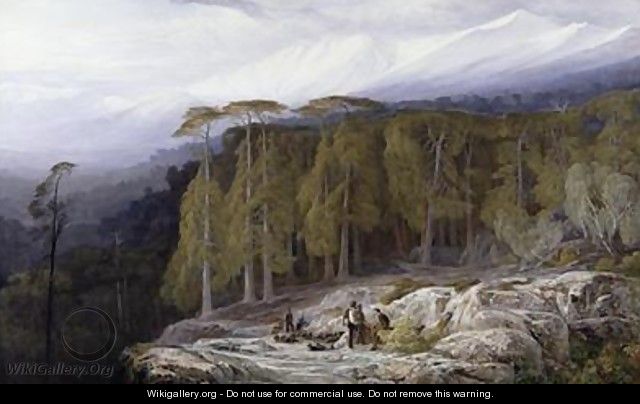 The Forest of Valdoniello Corsica - Edward Lear