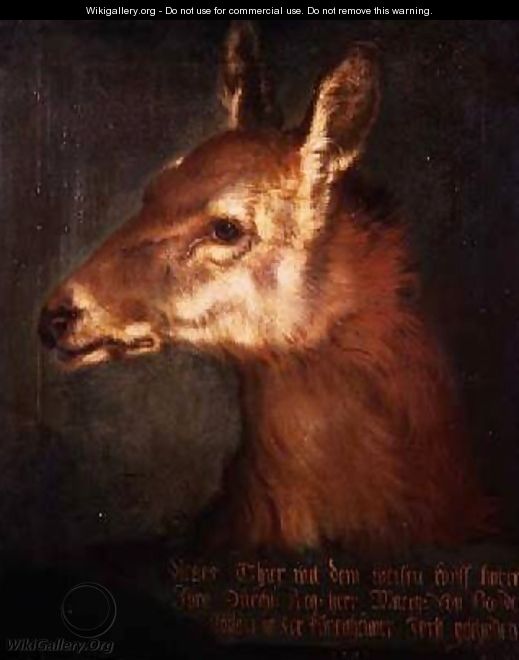 Head of a Roebuck 1742 - Heinrich Lihl