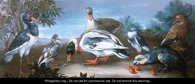 A Landscape with Parrots Ducks and Pigeons - Jean-Baptiste Monnoyer