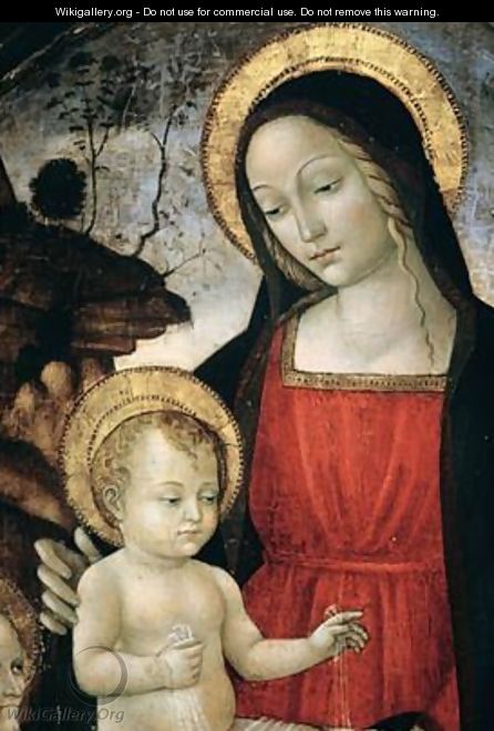 Madonna and Child 2 - Bartolomeo Montagna