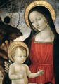 Madonna and Child 2 - Bartolomeo Montagna