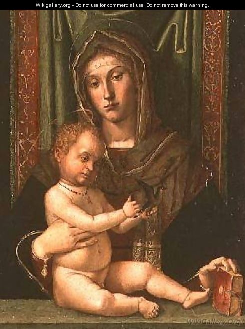 Madonna and Child - Bartolomeo Montagna