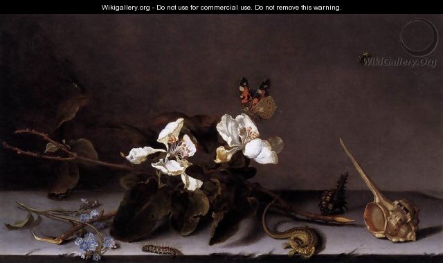 Still-Life with Apple Blossoms - Balthasar Van Der Ast