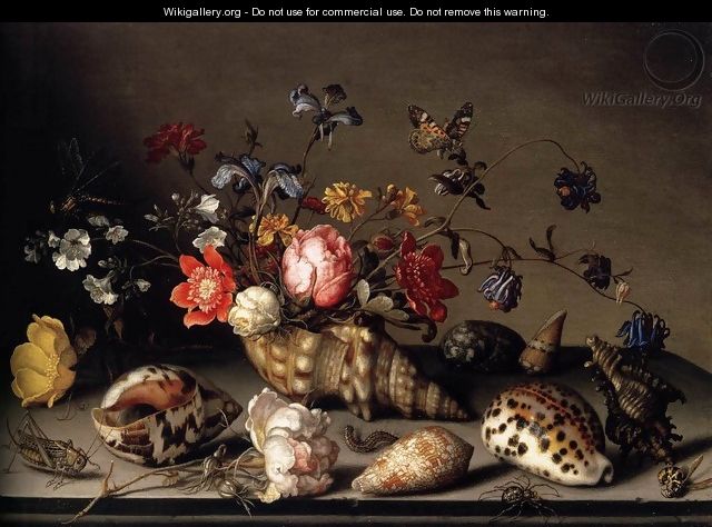 Still-Life of Flowers, Shells, and Insects - Balthasar Van Der Ast