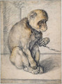 Monkey on a chain, seated - Hendrick Goltzius