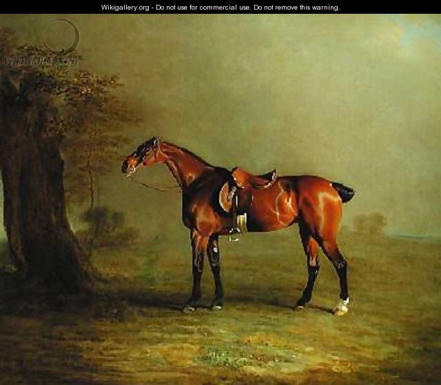 Racehorse - Benjamin Marshall