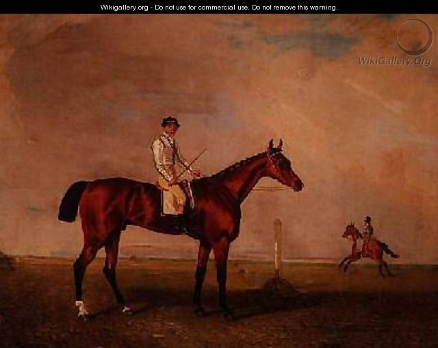 Bay racehorse with jockey on a racecourse - Lambert Marshall