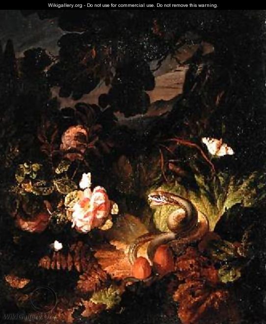 Flowers Snake and Butterflies - Otto Marseus van Schrieck