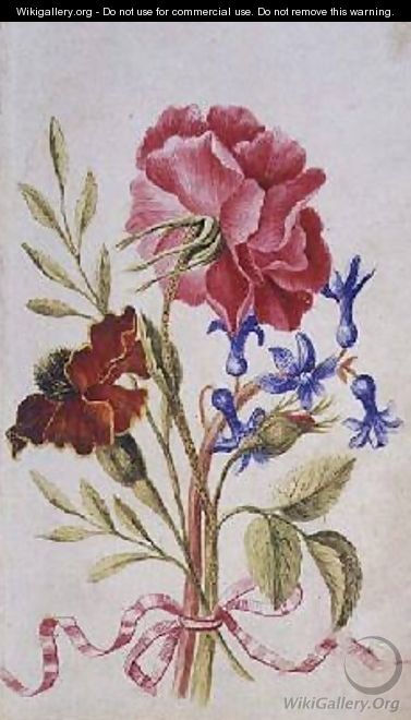 Tagetes Rose and Hyacinth - Alexander Marshal