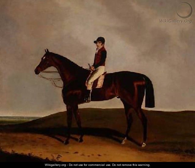 A Bay Racehorse 1851 - C. Markham