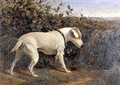 Terrier in a Landscape - William Elsob Marshall