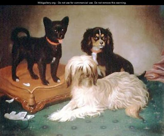 Three dogs - William Elsob Marshall