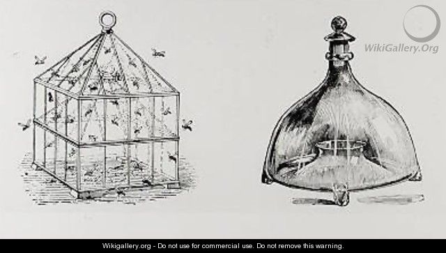 Wasp and fly traps from Thomas Mawsons The Art and Craft of Garden Making - Thomas Hayton Mawson