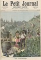 The Wine Harvest from Le Petit Journal 31st October 1891 - Henri Meyer