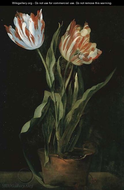 Still life with two variegated tulips in a clay pot - Guillaume-Thomas-Raphael Taraval