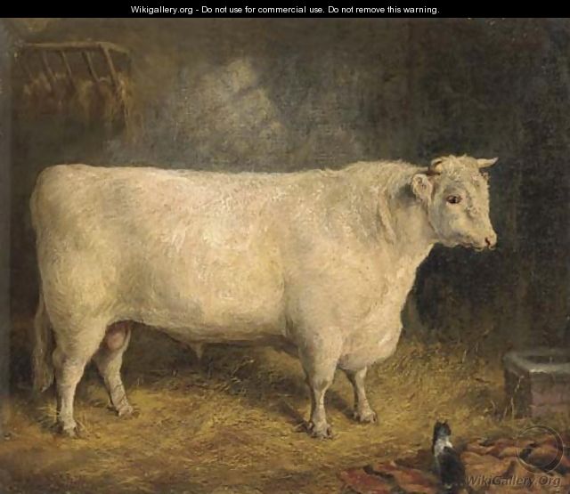 A prize bull - Gourlay Steell