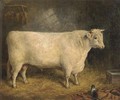 A prize bull - Gourlay Steell