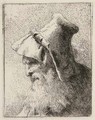 Profile of an old Man with a Beard, from Raccolta di Teste - Giovanni Domenico Tiepolo
