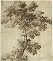 A Tree On An Outcrop - Girolamo Muziano