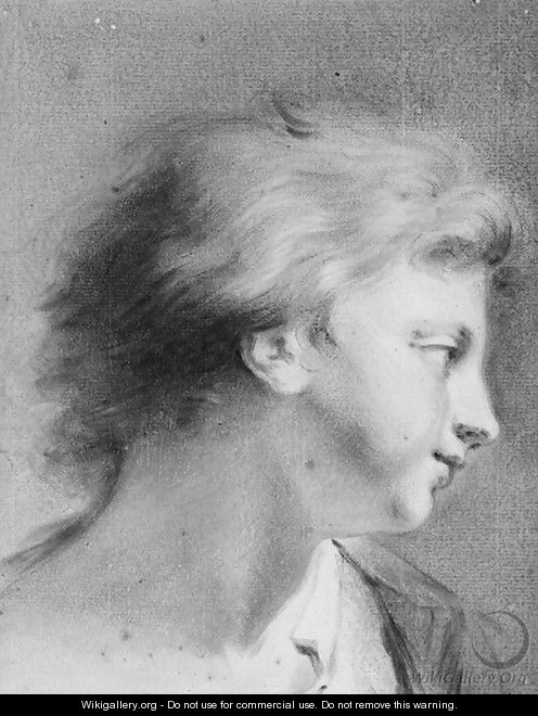 Portrait of a boy in profile to the right - Giovanni Battista Cipriani