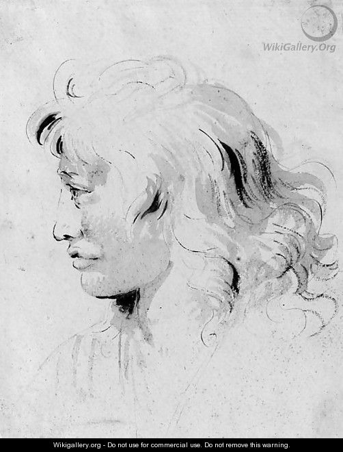 The head of a youth, in profile to the left - Giovanni Battista Tiepolo