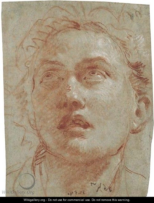 Head of a man looking up - Giovanni Battista Tiepolo