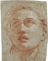 Head of a man looking up - Giovanni Battista Tiepolo