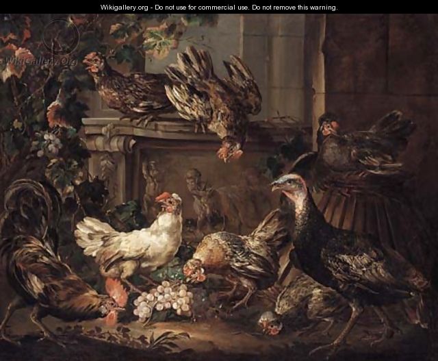 A turkey, a cockerel and hens eating grapes by a bas relief - Giovanni Crivelli, Il Crivellino