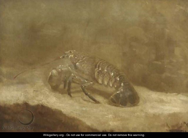 A lobster - Gerrit Willem Dijsselhof