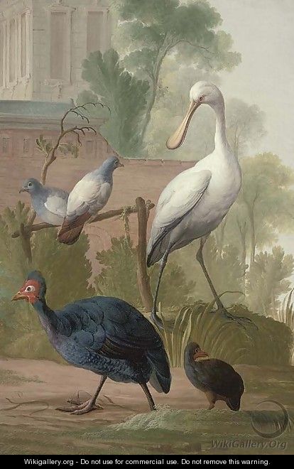 Pigeons, guinea fowl and a spoonbill in a garden, by a walled palace - Gerrit van den Heuvel