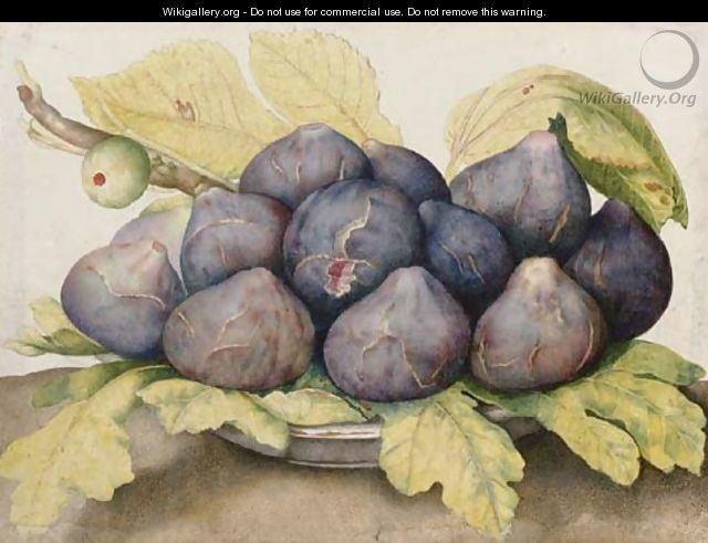 A plate of figs - Giovanna Garzoni