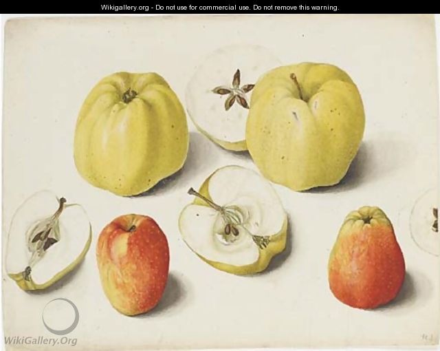 Four apples and four halves of apples - German School