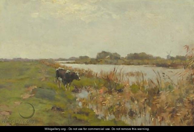 A cow in a polder landscape - Gerard Altman