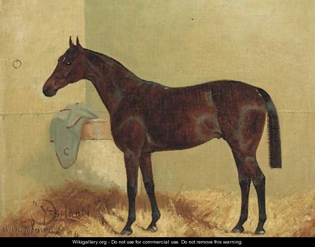 Ypsilanti, a bay hunter in a stable - George Paice