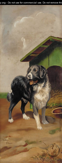 Toby, before a kennel - George Paice