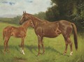Opera, a chestnut mare with a foal - George Paice