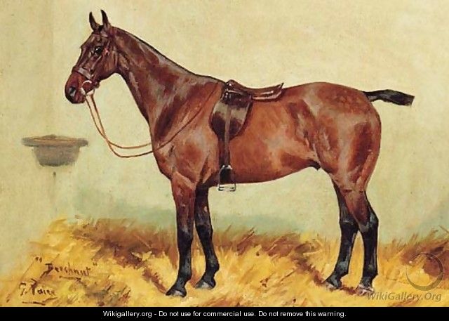 Beechnut, a bay Hunter in a Stable - George Paice