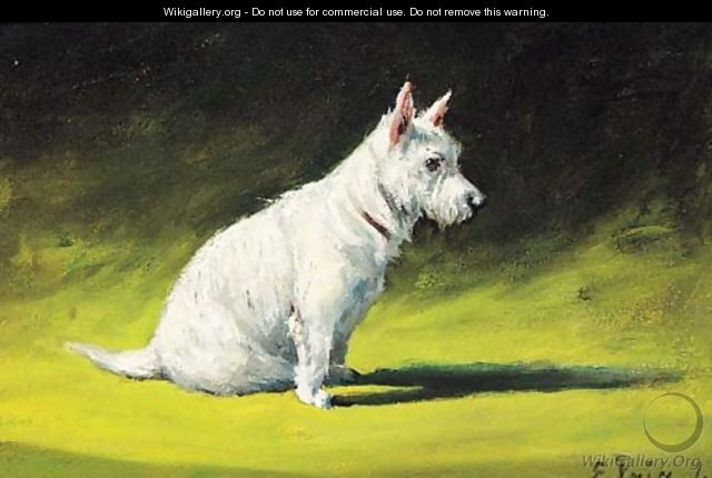 A West Highland Terrier - George Paice