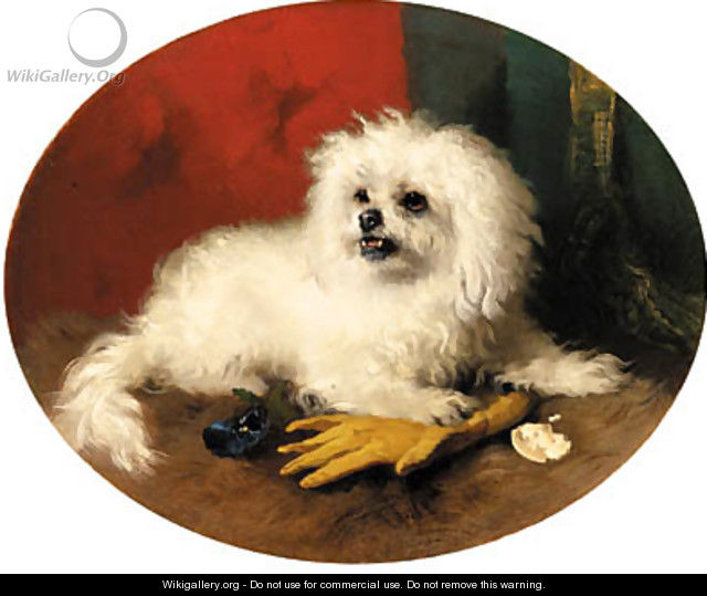 A Maltese Terrier - George W. Horlor