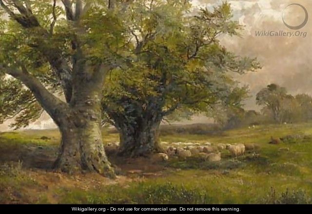 Beech Trees near Ingleby, Derbyshire - George Turner