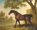 A bay hunter in a wooded river landscape - George Stubbs