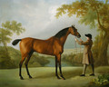 Tristram Shandy, a bay racehorse held by a groom, in an extensive landscape - George Stubbs