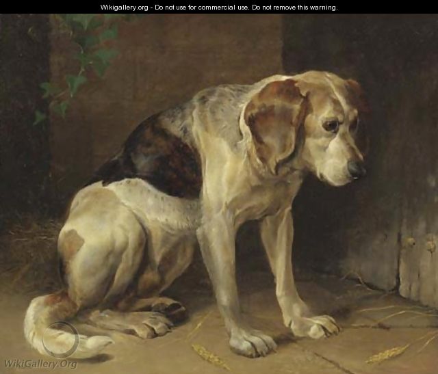 A hound - Henry Weekes