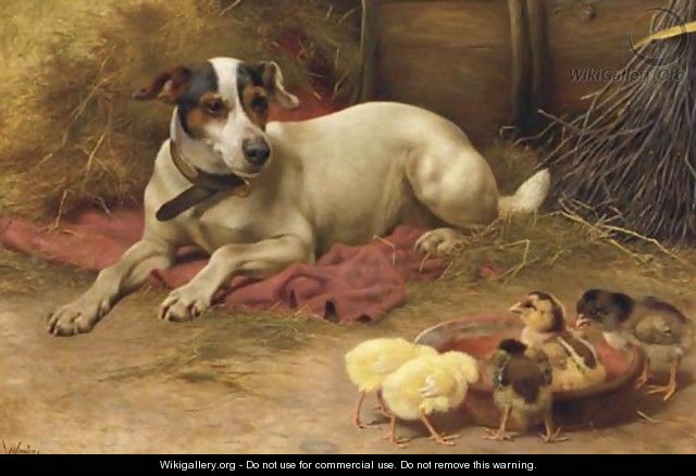Guarding the chicks - Herbert William Weekes