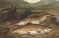 Brown trout on a river bank - Henry Leonidas Rolfe