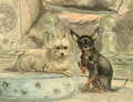 A smousje on a silk cushion and a black-and-tan fledermous-pincher at its side - Henriette Ronner-Knip