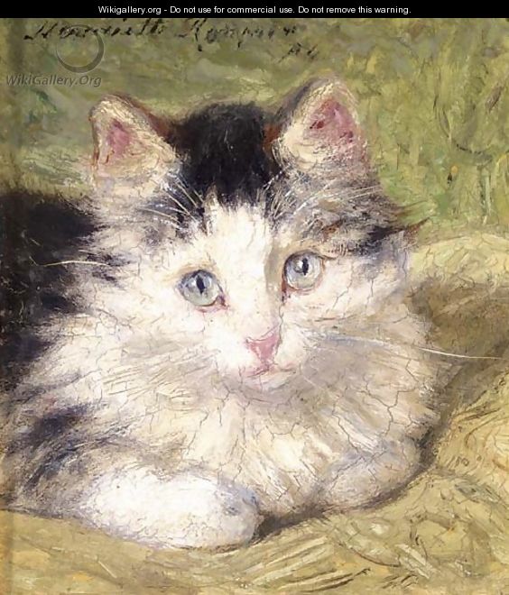 A curious kitten - Henriette Ronner-Knip