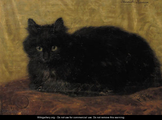 A black cat - Henriette Ronner-Knip